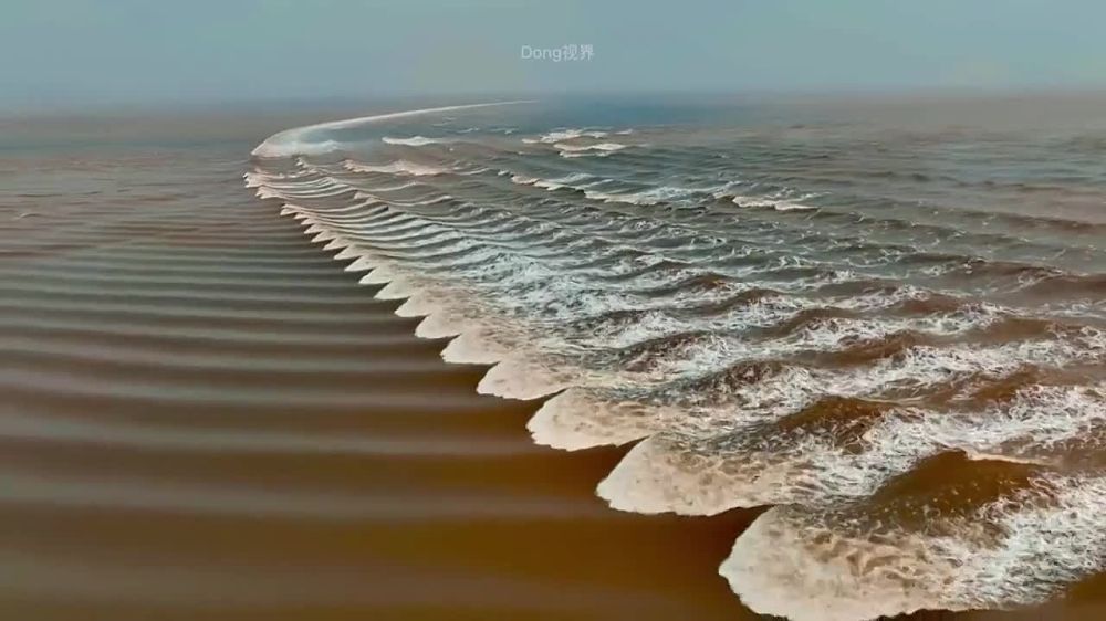 ���������� ������ ��������� ������� - ������ "����� �����"