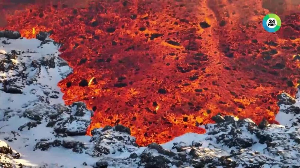 ���� ������� ������ ��������