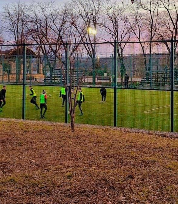 ���������. ���� �����������