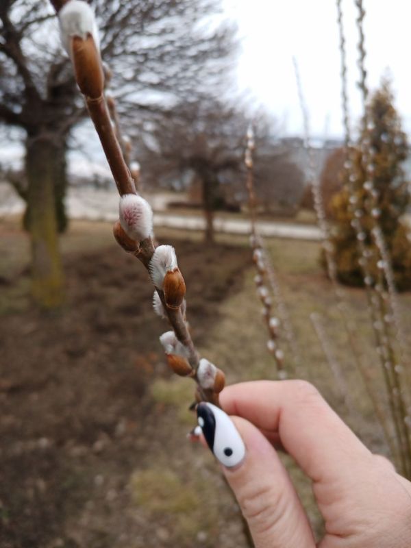 �� �������� �� +16 ��������