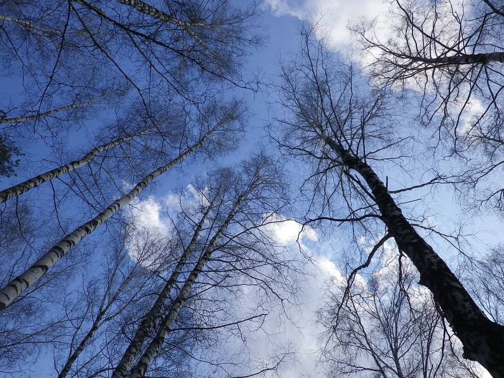 ��� �����, ��� �� ���� ������, � ������ ������� �� ���������� ������������� �� ���� �������, �� ��� ������� ���������������