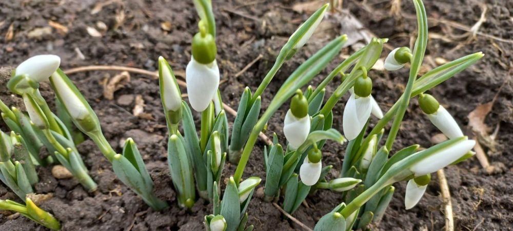 ����������� ����� � �������