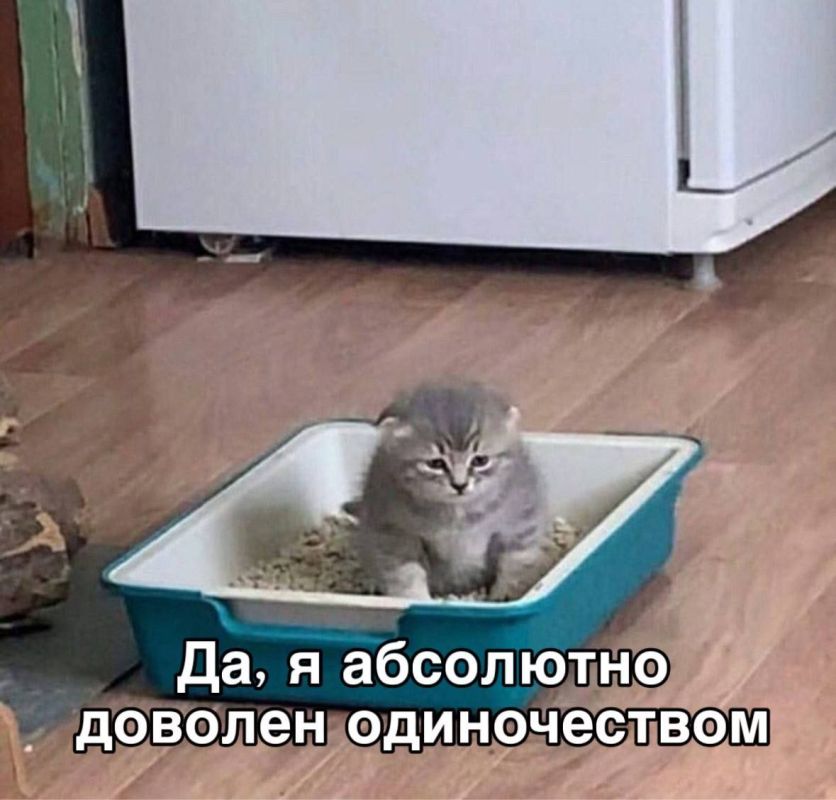 ������� ���������� ���� ��������� ������������