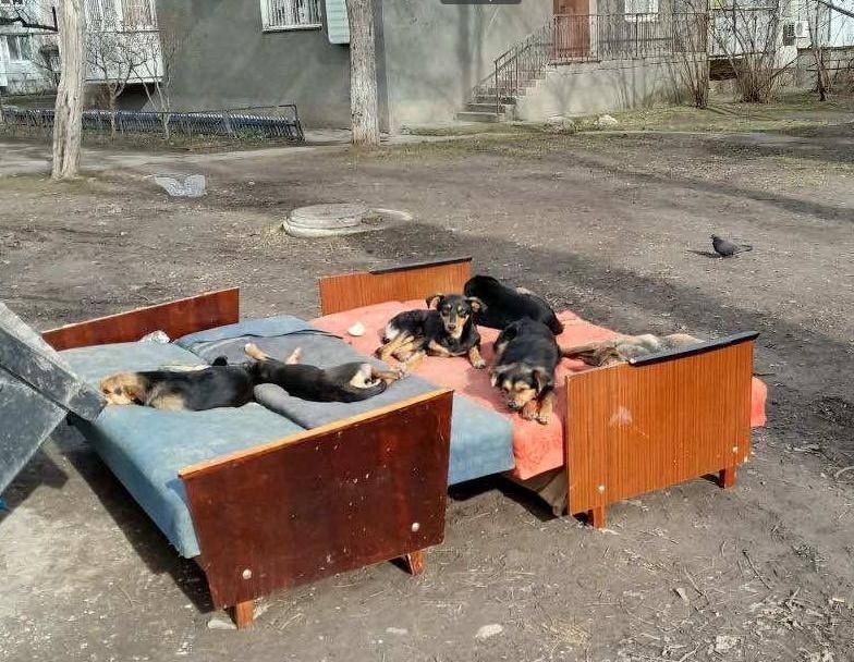 +18 � ������� ����� ��������� �� ��� ������