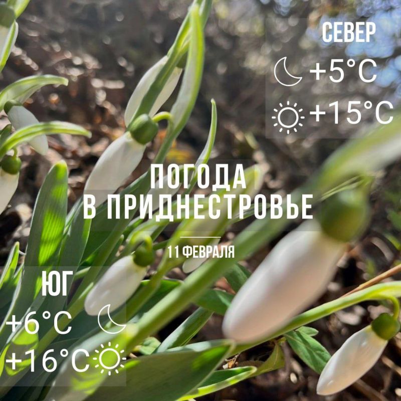 ���� � �� +16��. ����� ������� �����