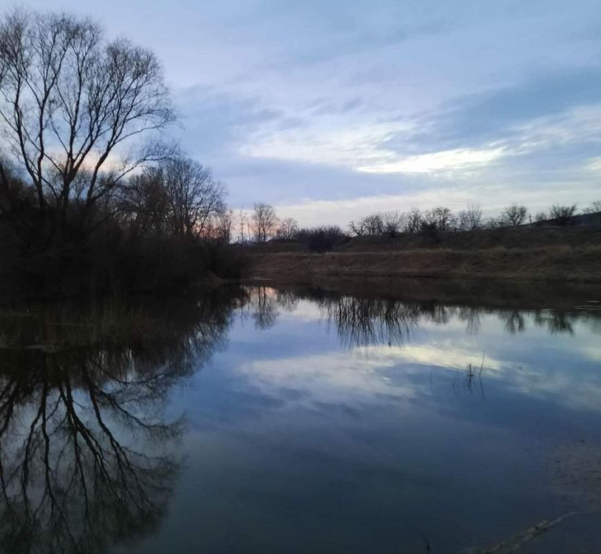 ����� �� �������. ���� ������� �������