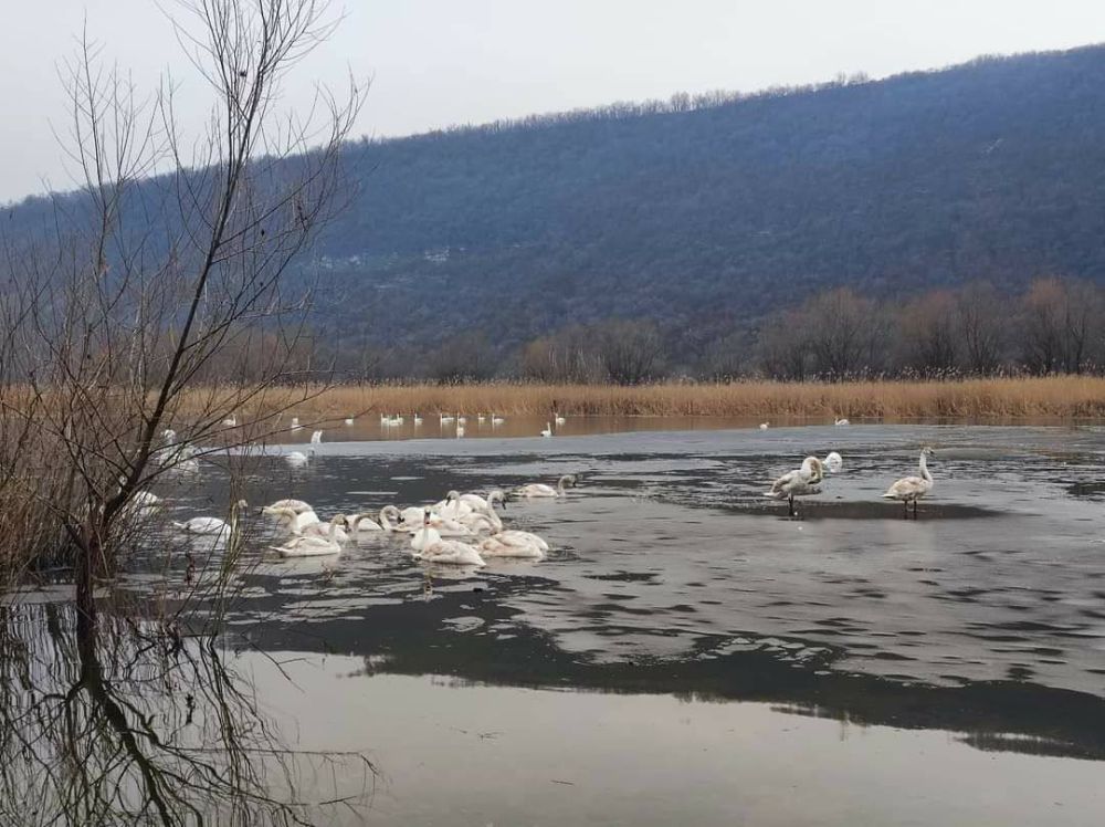 � ���� ������� ���������� ������ �������� �������