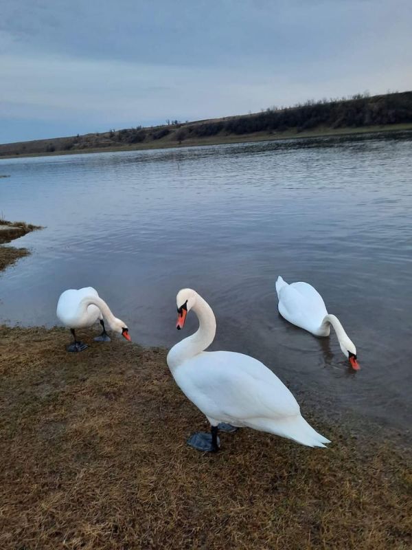 ����� � �������� �� ������ �������������