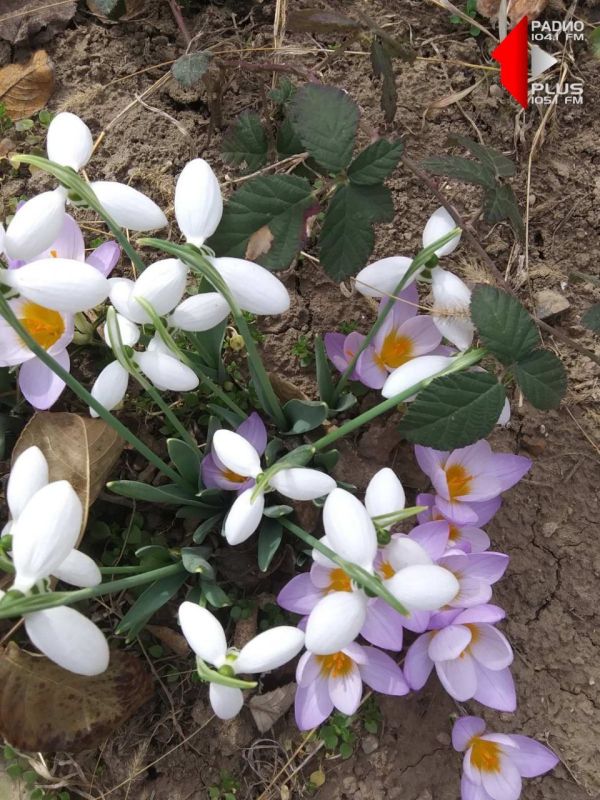 � � ������ �������� ������ �������