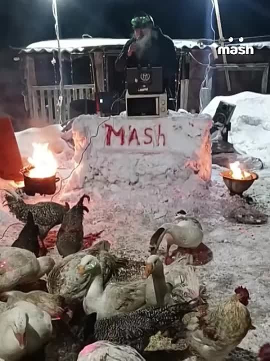 ��������� �������� ������ � ���������� TikTok-�������� ������ ��� Dj Krasavchik �� ������� �� ������� ���������� � ���������� �������