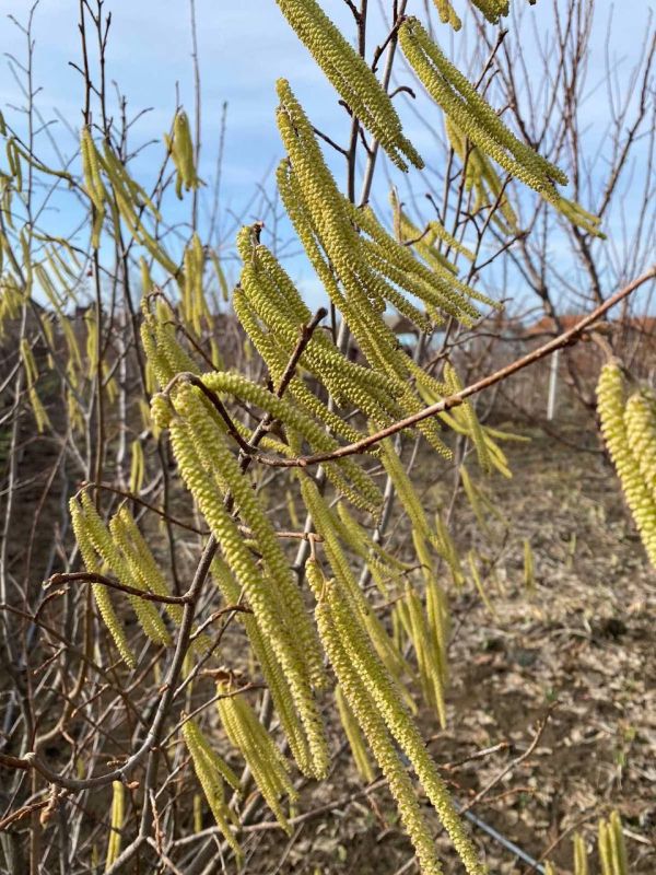 ������ � ������� ������� ������������� ����������� �����