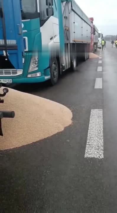 �������� ������� �������� ����� �� ���������� ���