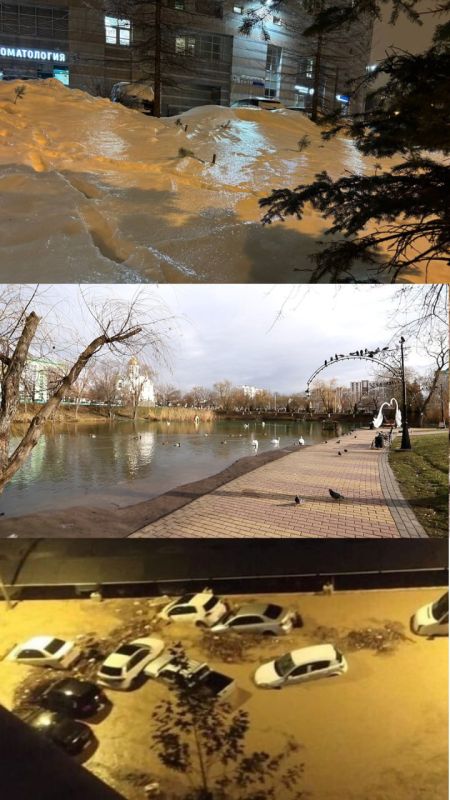 ������������� ����� ��������