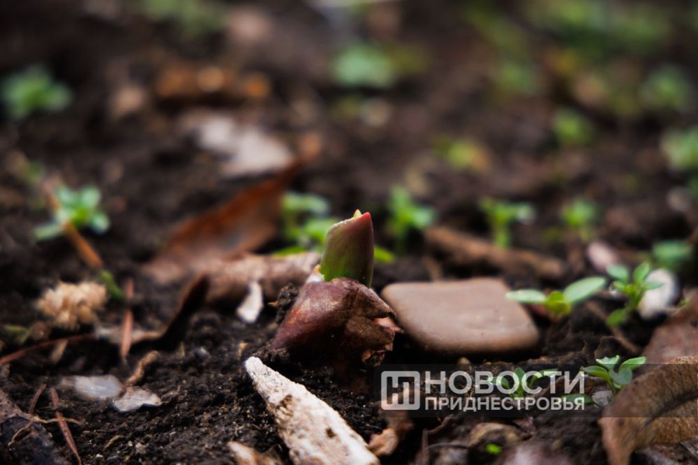 � ����������� ������ ���������� ������ ���������