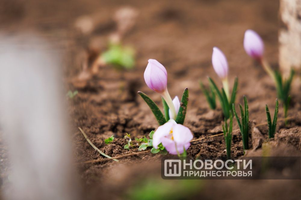 ���������� ������������ � ������������ ����