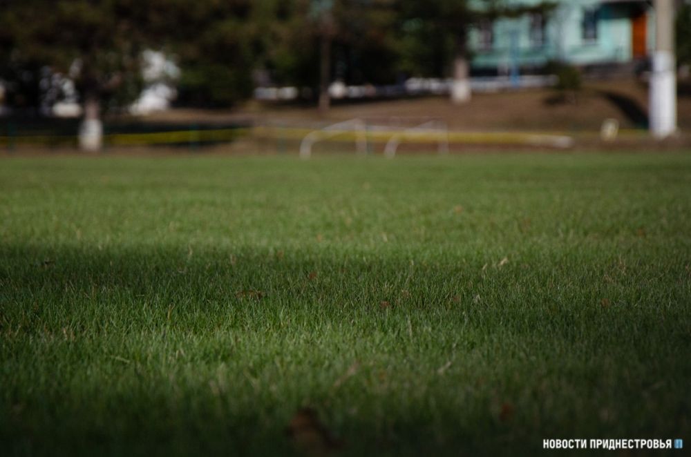 ������������� �������������� � ���������� ������������