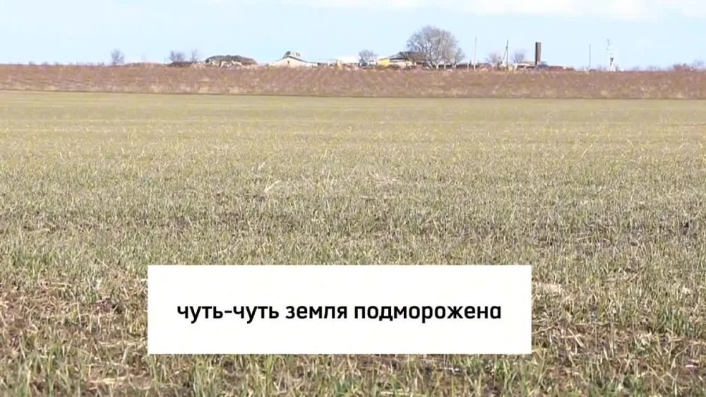 ������, ����� ����-���� �����������