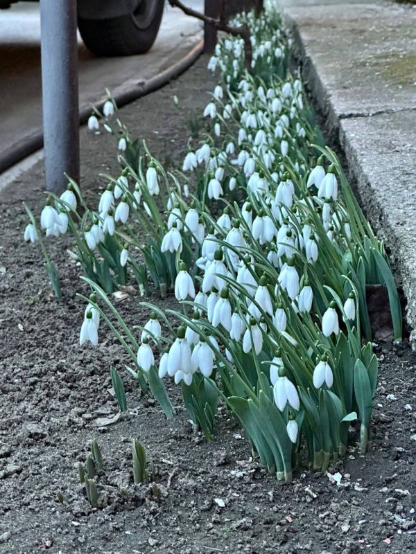 ���������� ������������ ������������� � �������