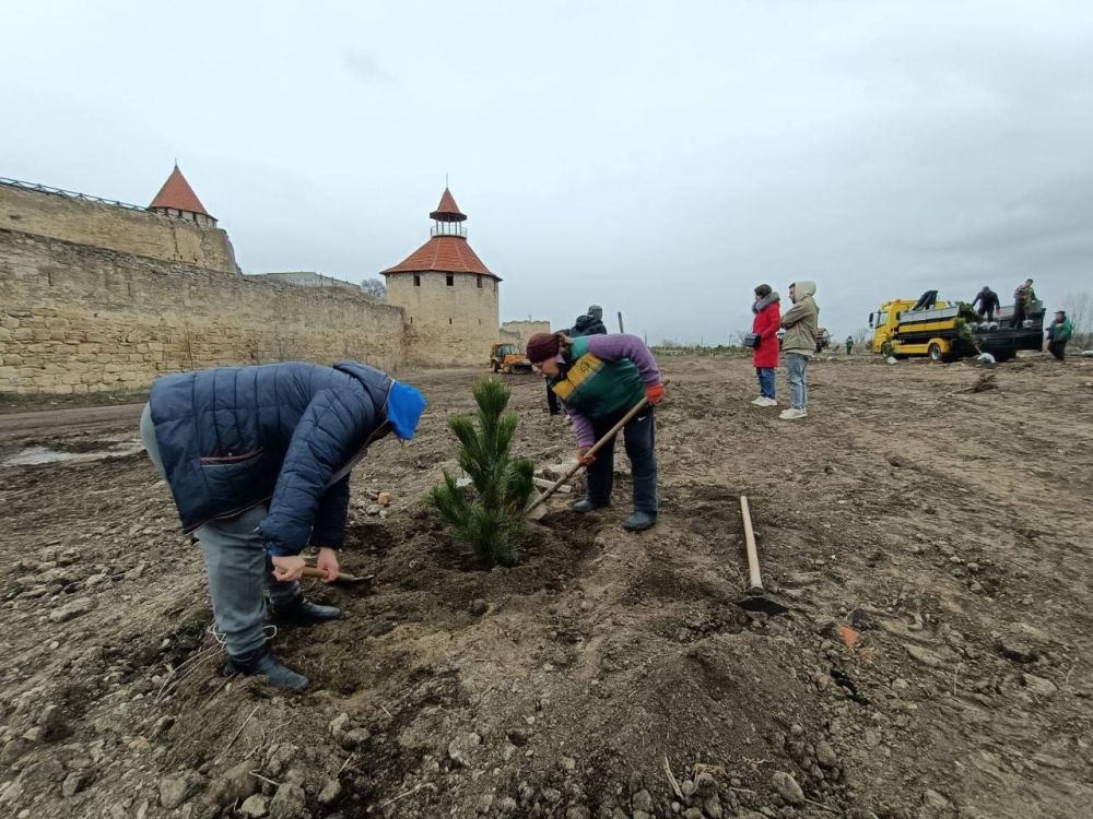 ��� ������ �������� ����� �� ������� ������