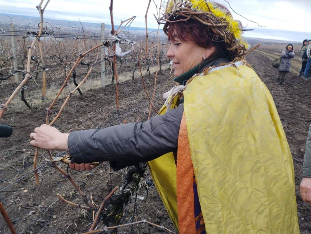 � ���������� ������� �������� �������������