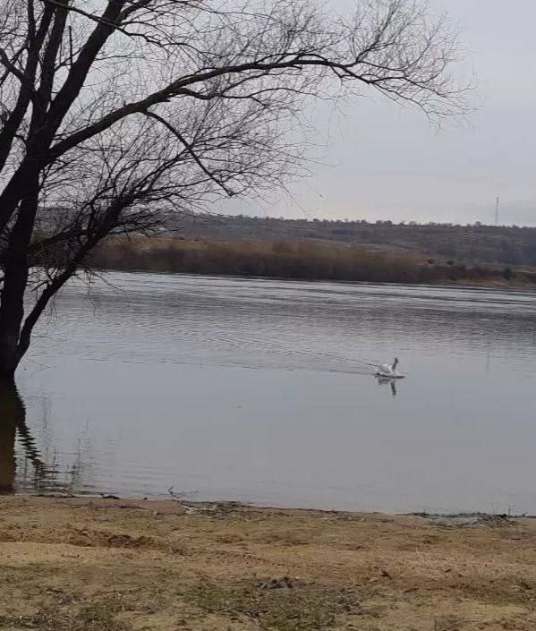 ���������. � ����� ������