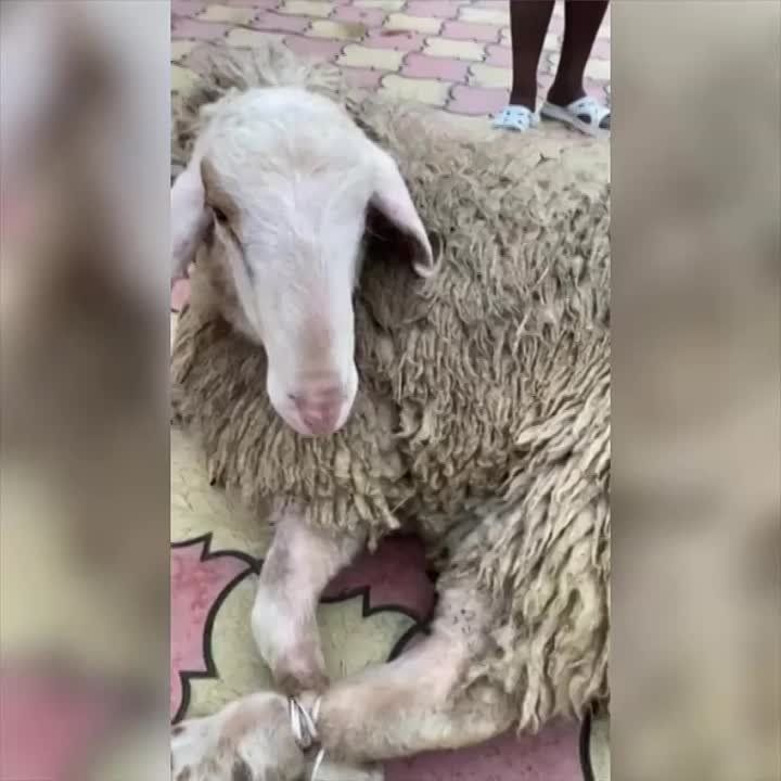 ���������� �������� ������� ������ ��������������! ����� �� ������� ��������� ��� ������ � �����, � ������� ��, � �����