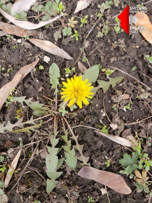 ����������. � �������. � ���������