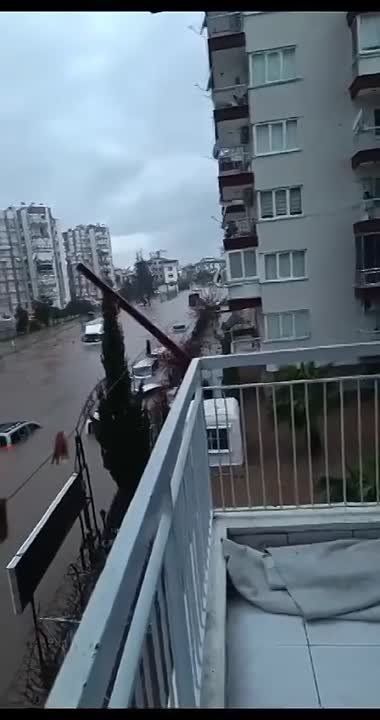 ���������� � �������