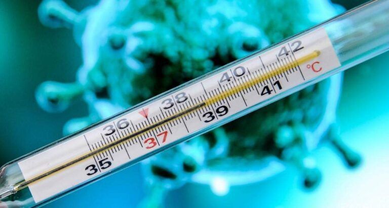 � ���������� �������� ������� �������� �������������� ����