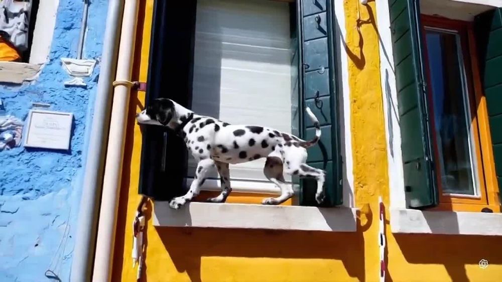 OpenAI ����������� ��������� Sora ��� �������������� ������ � �����