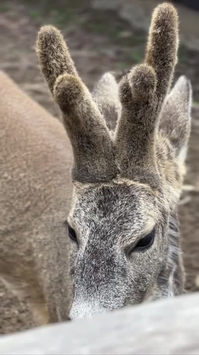 � �������� �������� ������ �� ������ ����� ������� ������ ����