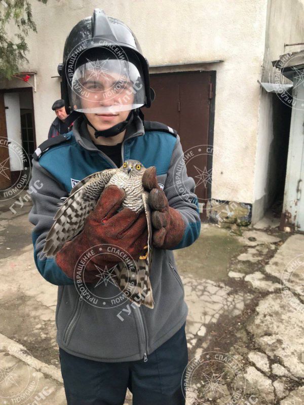 ��������� �������� ��������� ������� � ������������ ����� ��� ��������, ����� �����-������ ����������