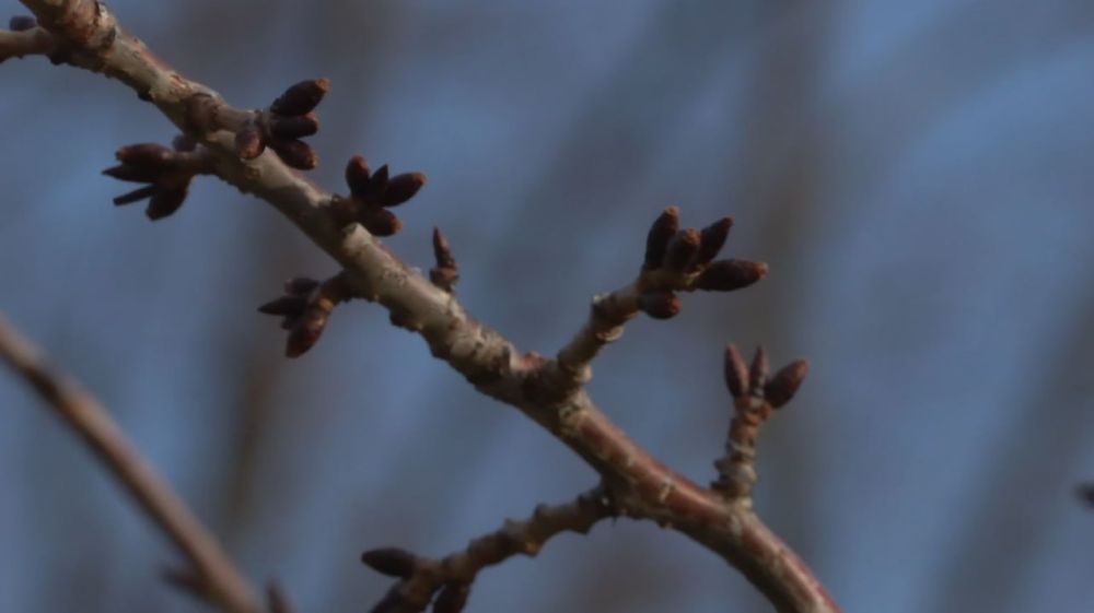 �� ��������� ������ ������ ����� ��������������� ��� �������