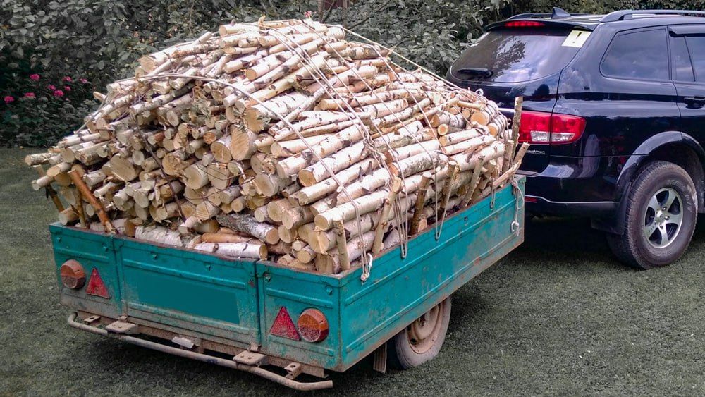 ��� ����������: ��������� ������ ������� ������ ��������� ���������