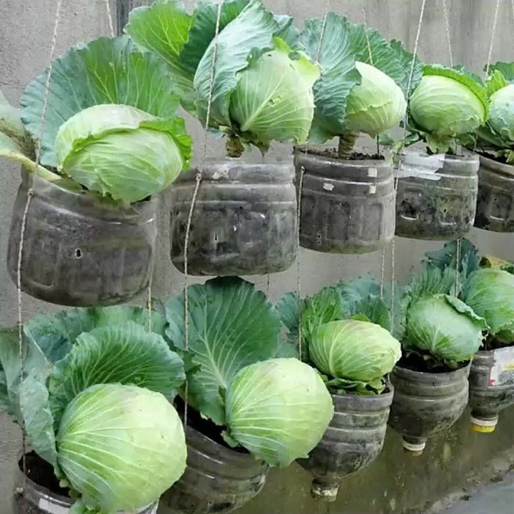 ��� ������� ��������� ������ � ��� �� ���� � ����������� ���� ��������