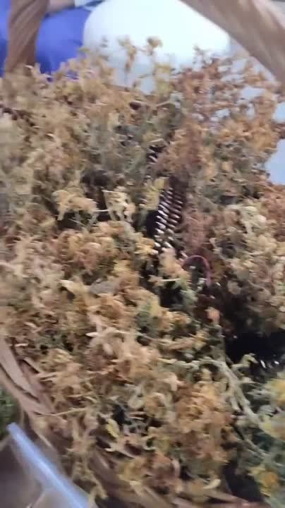 �� ����-������ �������� ��������, ������, ��������, �����