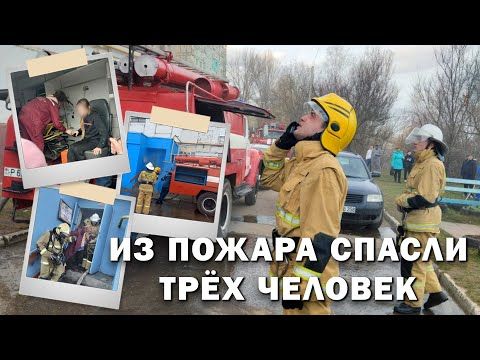 ���������� �������� ���� ��������. ������ ����� ����� ��������� ��������, ����������� ����� � ������� ����� �������� �������. � ���, ��� ��������� ������ ������� ����� � ������� ������� �����������, �������