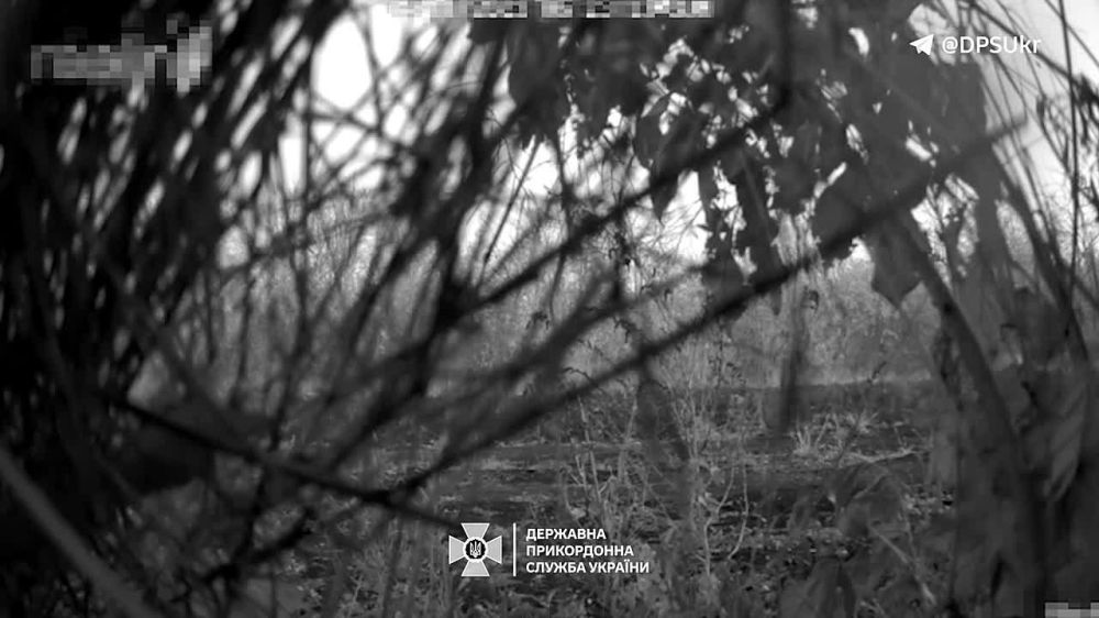 ���� ����� ����� �� �������