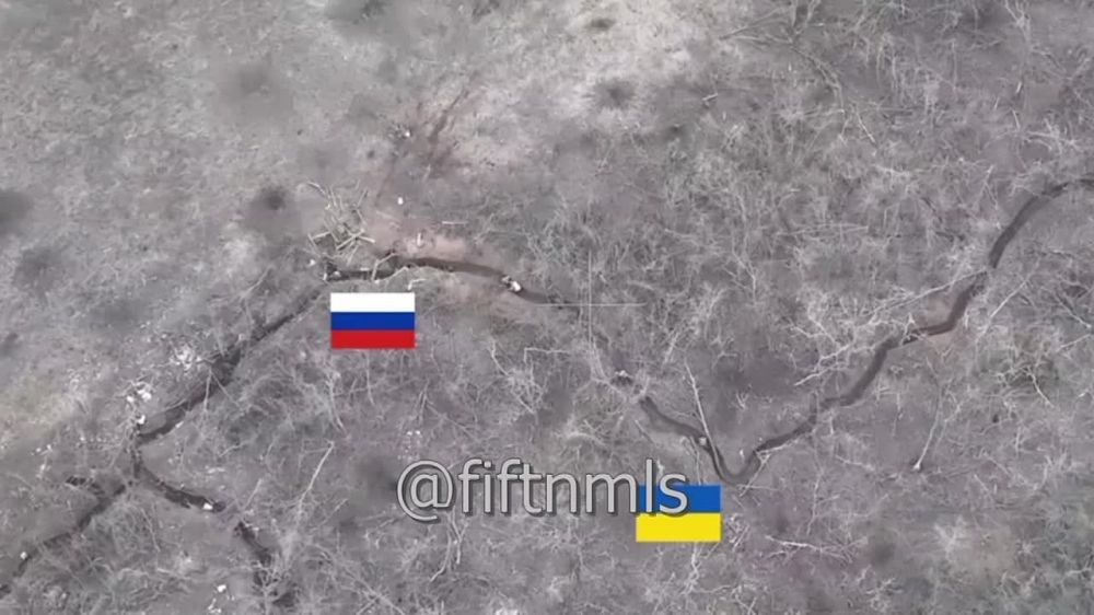 �������� ������ ���������� �� ����������� �����������