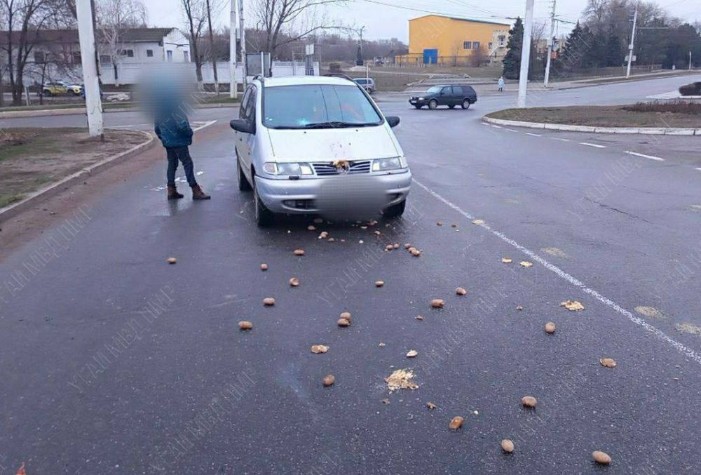 ���� ��������. ��������� � ��������