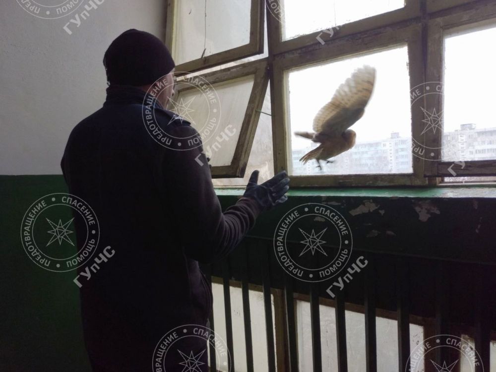 ������ ����. ������ ����� �� ���������� ��������� ������ ������ 19 ������� ���������� �� ������� � ����������. � �� ������� ����� �������� ���� �������� ���� � ������ �� ���� � ����������� �������� ��������