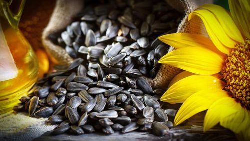 ������� ��������� � �������� ������������ ������������������� ������������ � ��������� �������� ������� "������ �������������, ��������� ��� �����������" (������������� ������������� ��� �� 14 ������� 2024 �. �94 � �95)