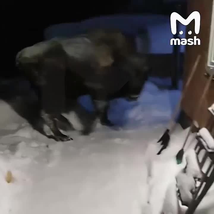 � ����� � ������� ������������ ������� �������� �����