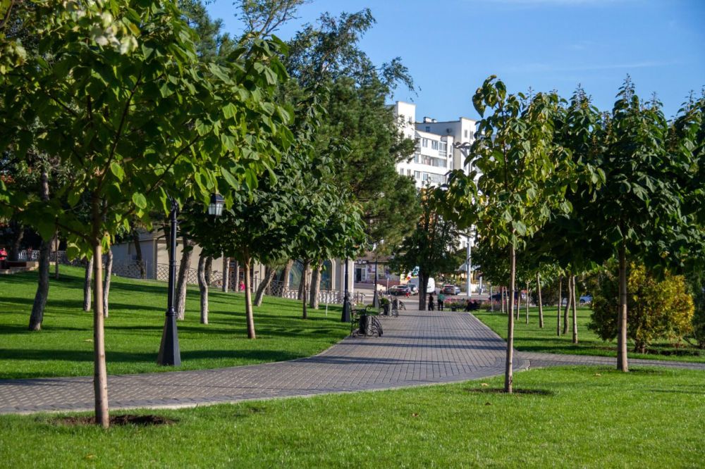 ��� �������� � ����, ��� ����� �����