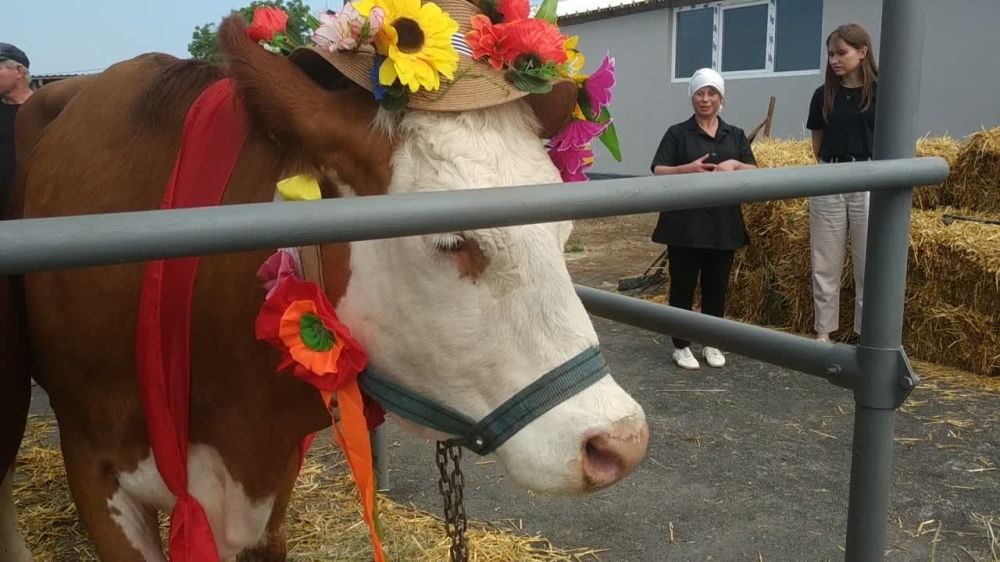 ������� ����� � �������������