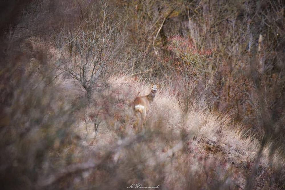 ������������� ������� �� ����������� ��������, �� ������� ���� ������, ��������� ������ ������� ���������