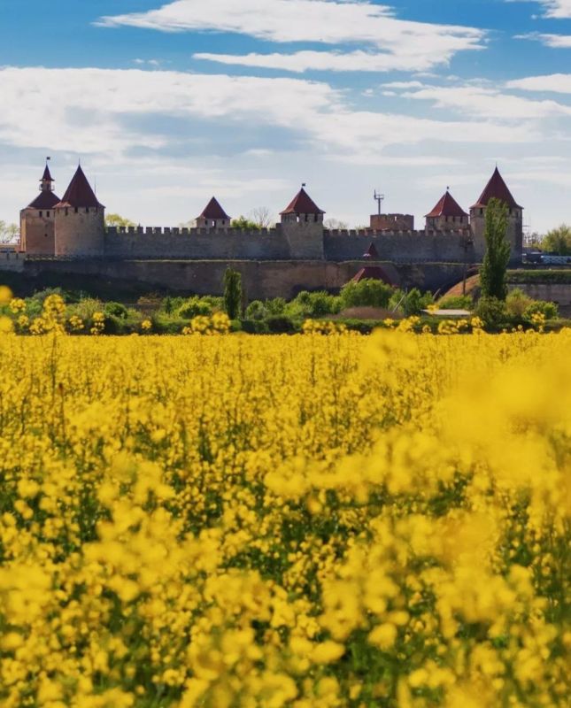 ��� ���� � ���������������� ������ (�� ����� � ������������ ������� ���������������� ������� �������) � ��� �������� �� ����� �������������� ���