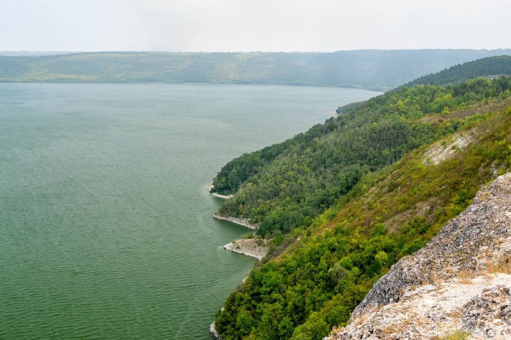 ����� ���� ������ ���������� ����������