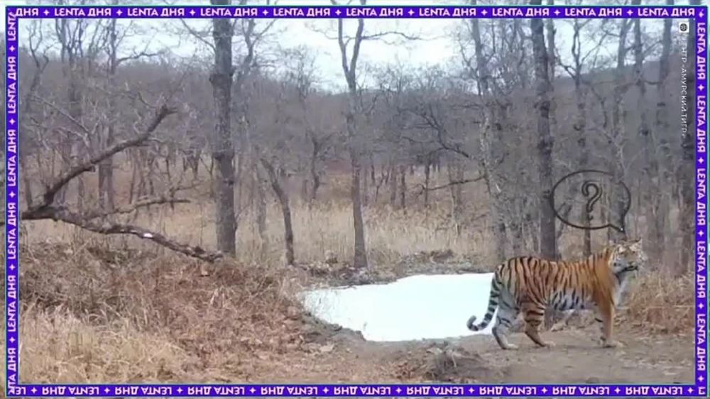 ��� ��� ������� ������. � ���� ������� ��� �����