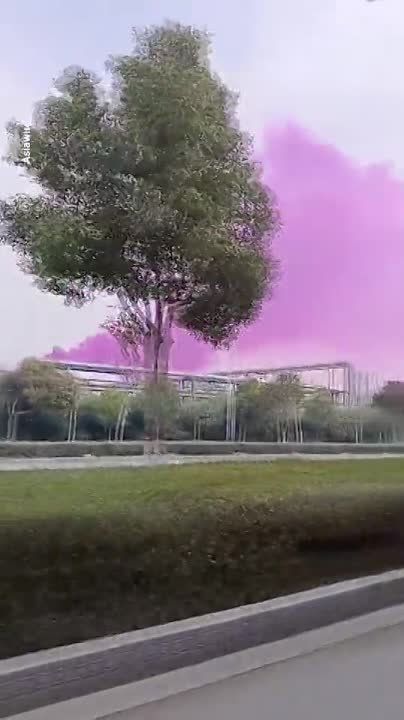 � ��� ��� ������� �� ��������� ��������� �� ������������ ���������